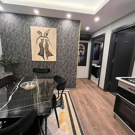 A Fantastic And Luxurious In Sisli Istanbul