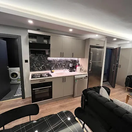A Fantastic And Luxurious In Sisli 아파트 이스탄불